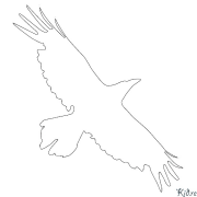 raven - key carrier Rûpelên Rengîn Ên Çapkirî